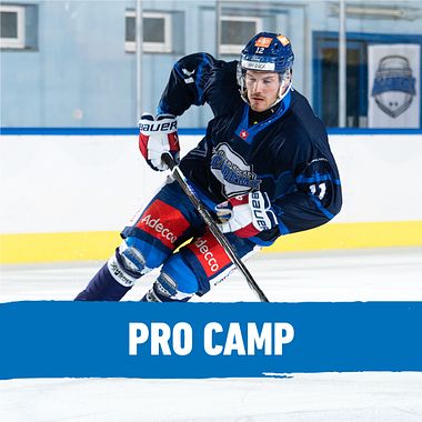 Arosa Pro Camp